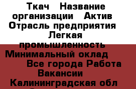 Ткач › Название организации ­ Актив › Отрасль предприятия ­ Легкая промышленность › Минимальный оклад ­ 35 000 - Все города Работа » Вакансии   . Калининградская обл.,Светлогорск г.